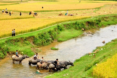 Sapa Bac Ha Market tour 3 days