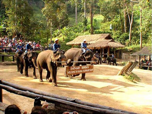 Amazing Bangkok 7 Days Tour Package